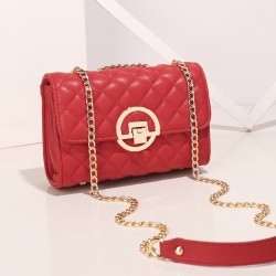 High-end fur patterned small bag women's fall 2023 new trendy fashionable chain small square bag versatile single shoulder crossbody bag